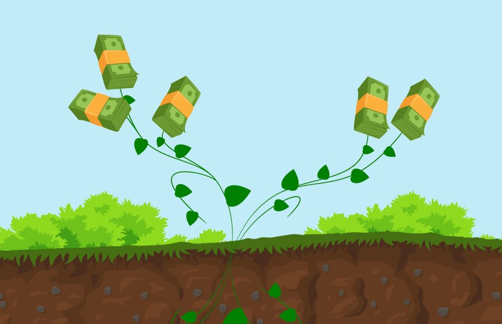 plant, wealth, cash